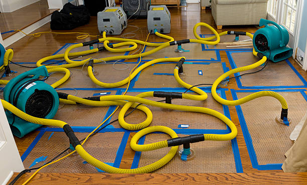 Professional Water Damage Restoration technician working in Eddy, TX